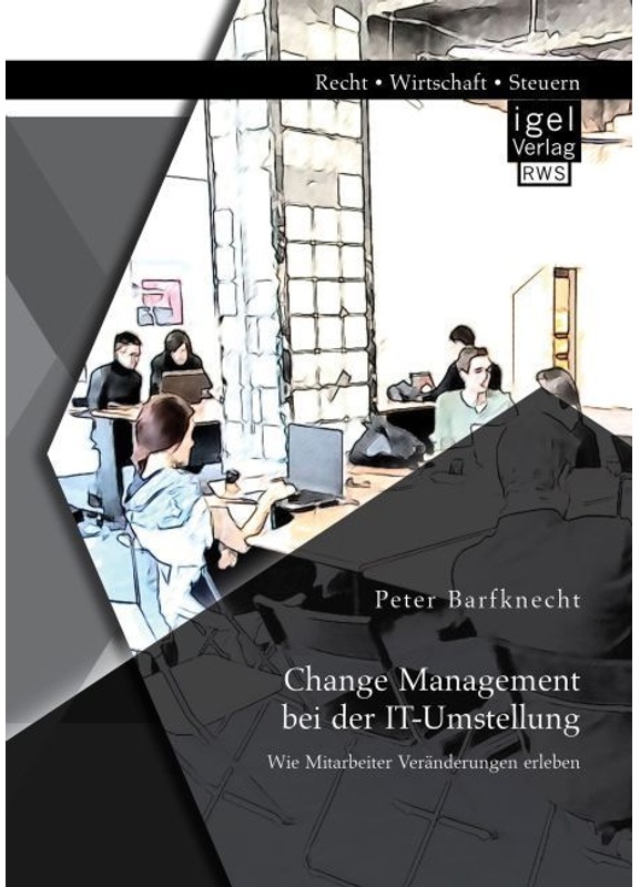 Change Management Bei Der It-Umstellung: Wie Mitarbeiter Veränderungen Erleben - Peter Barfknecht, Kartoniert (TB)