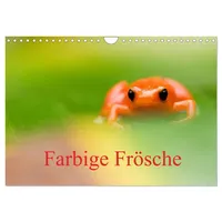 Calvendo Farbige Frösche (Wandkalender 2026 DIN A4 quer), CALVENDO