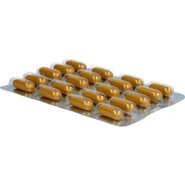 Dr. Loges Curcumin-Loges arthro plus UC-II Kapseln