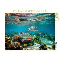 Calvendo Puzzle Fischschwarm in den Tropen mit Korallen 1000