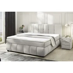 Boxspringbett JOCKENHÖFER GRUPPE "Cora", greige 438, 29, B:201cm L:219cm, Bezug Bett: Flachgewebe (100% Polyester), Topper und Matratzenspiegel: 100% Polyester, Komplettbetten, Wende-Bonell-Federkern-Matratze (H2/H3), PU-Schaum Topper
