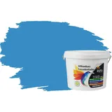RyFo Colors Fassadenfarbe Silikonharz Fassadenfarbe Französischblau 3l, 1 L ca. 6 m2, Wasserabweisend, diffusionsfähig, schützt vor Schmutz, Algen, Pilzen blau