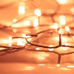 vidaXL Lichterkette mit 1000 LEDs 100 m 8 Lichteffekte IP44 Warmweiß