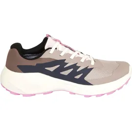Salomon Alphaglide Gore-Tex Damen Etherea / Vanilla Ice / Cyclamen 39