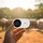ZTE U10S Pro