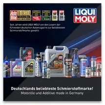 LIQUI MOLY Pro-Line Dieselpartikelfilterspülung 5171 500 ml