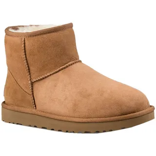 Chestnut 36