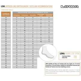 Lowa Renegade Evo GTX Lo Herren oliv/beige 46