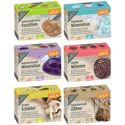 Moses Expedition Natur Mini-Ausgrabungssets, sortiert