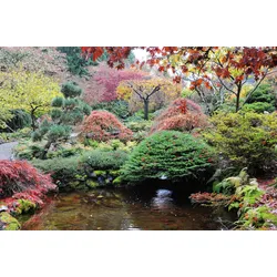 Fototapete PAPERMOON "Teich im Garten", bunt, B:3,50m L:2,60m, Vlies, Tapeten