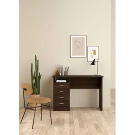 INOSIGN »Funktion Plus, Arbeitstisch, Bürotisch«, Computertisch mit 4 Schubladen und 1 offenen Fach, Breite 110 cm