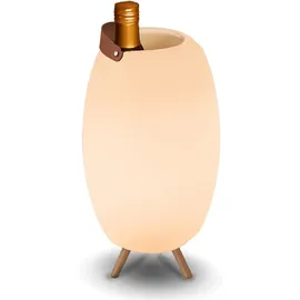 Newgarden New Garden APOLO 45 RECARGABLE Lamp