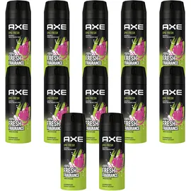Axe Epic Fresh Bodyspray 12 x 150 ml