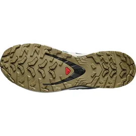 Salomon XA Pro 3D V9 GTX Herren Dark Blue/Icicle/Aloe 42 2/3