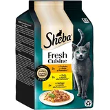 Sheba Fresh Cuisine Taste of Rome Truthahn, Huhn & Geflügel 36x50 g
