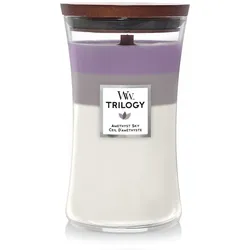 WoodWick Trilogy AMETHYST SKY Kerzen 623 g 