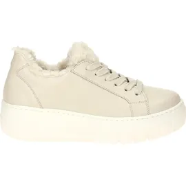 Gabor Sneaker low in Beige, - Beige
