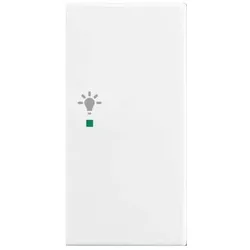 Busch-Jaeger Wippe aws 6231-22-914