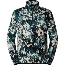 The North Face 100 Glacier Printed 1/4 Zip Pullover Grün S
