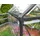 CANOPIA Harmony Gewächshaus Aluminium Grau Polycarbonatplatten 0,7 mm 5,63 m2