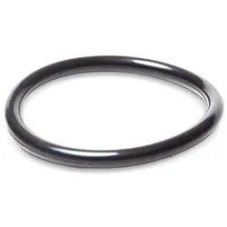 ELRING Dichtung, Thermostat VOLVO,RENAULT TRUCKS,UD TRUCKS 729.170 7421503575,1459651,1549651 21503575