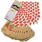 Tanner Einkaufstüten-Set mit Block und Stift (989554)