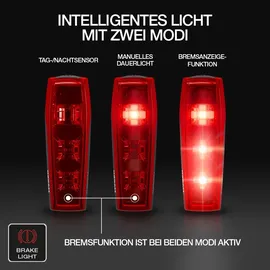 Osram LEDsBIKE Race 100 Rücklicht