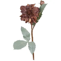 Chic Antique Fleur Dahlien, L50 cm, mokka