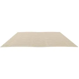 vidaXL Bettlattenrost Ersatz mit 48 Latten 2 Stk. 100 x 200 cm