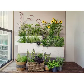 Gardena Solar-Bewässerung Set 13300-20