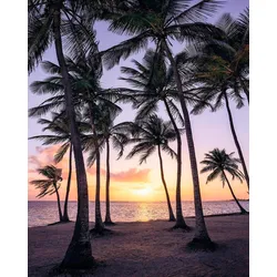Vliestapete KOMAR "Digitaldruck Vlies - Palmtrees on Beach - Größe 200 x 250 cm", bunt, B:200m L:250m, Vlies, Tapeten, Wohnzimmer, Schlafzimmer