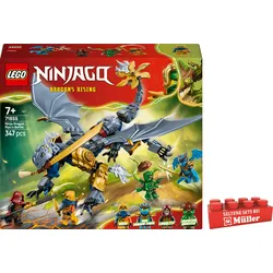 LEGO NINJAGO 71855 Showdown mit dem Ninja-Drachen Riyu, Ninja Spielzeug