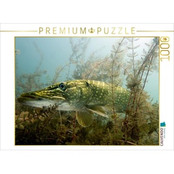 CALVENDO Puzzle CALVENDO Puzzle Meister der Tarnung 1000 Teile Lege-Größe 64 x 48 cm Foto-Puzzle Bild von Mario Merkel, 1000 Puzzleteile