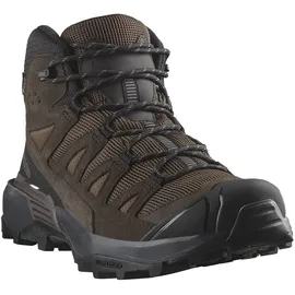 Salomon X Ultra 360 Mid GTX Herren Dark Earth/Delicioso/Castlerock 42