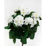 Seidenblumen Roß Geranie 38cm weiß ZF ohne Topf, Kunstpflanzen Kunstblumen künstliche Blumen Geranien Pflanzen Fensterbank, Home Decoration unechte Zimmerpflanzen, Deko Kunst Blüten wie echt