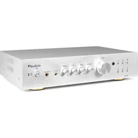Audizio AD220A (Verstärker), Stereoverstärker, Silber