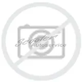 Doublestar Winterking DW16 205/55 R17 95T XL