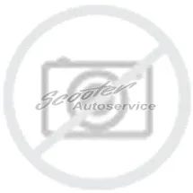 Doublestar Winterking DW16 205/55 R17 95T XL