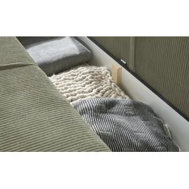 Uno Schlafsofa mit Bettkasten Fjord ¦ ¦ Maße (cm): B: 257 H: T: