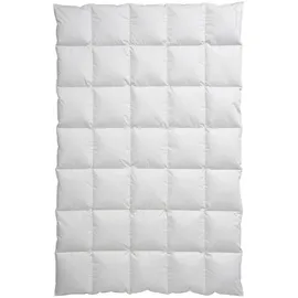 Centa-Star GOLF von ALASKA Kassettenbett warm