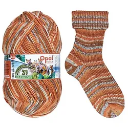Opal Sockenwolle "Regenwald – Glückliche Passagiere"