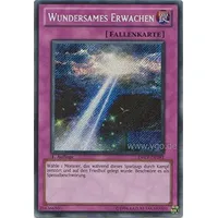 DREV-DE093 Wundersames Erwachen