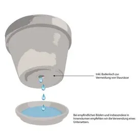Ecopots Rotterdam 50 x 50 x 43,8 cm Dunkelgrau