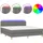 vidaXL Boxspringbett mit Matratze & LED Dunkelgrau 180x200 cm Stoff