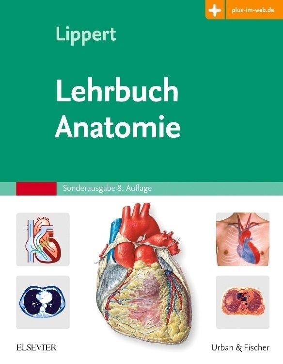 Lehrbuch Anatomie - Herbert Lippert  Kartoniert (TB)