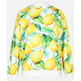 salzhaut Hoodie BARCH Mehrfarbig XXL