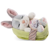 NICI Sleeping Pets Hase grau im grünen Körbchen 12cm (48706)