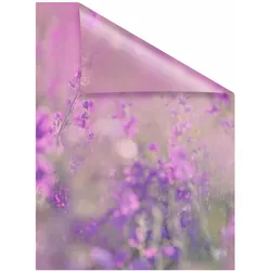 Fensterfolie LICHTBLICK ORIGINAL "Blumenwiese" Gr. 5, lila (violett), B:100cm L:180cm, PVC, Fensterfolien