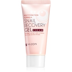Mizon Multi Function Formula  Snail Gesichtsgel mit Snail Extract 45 ml