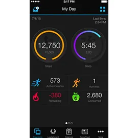 Garmin Fenix Chronos Edelstahl